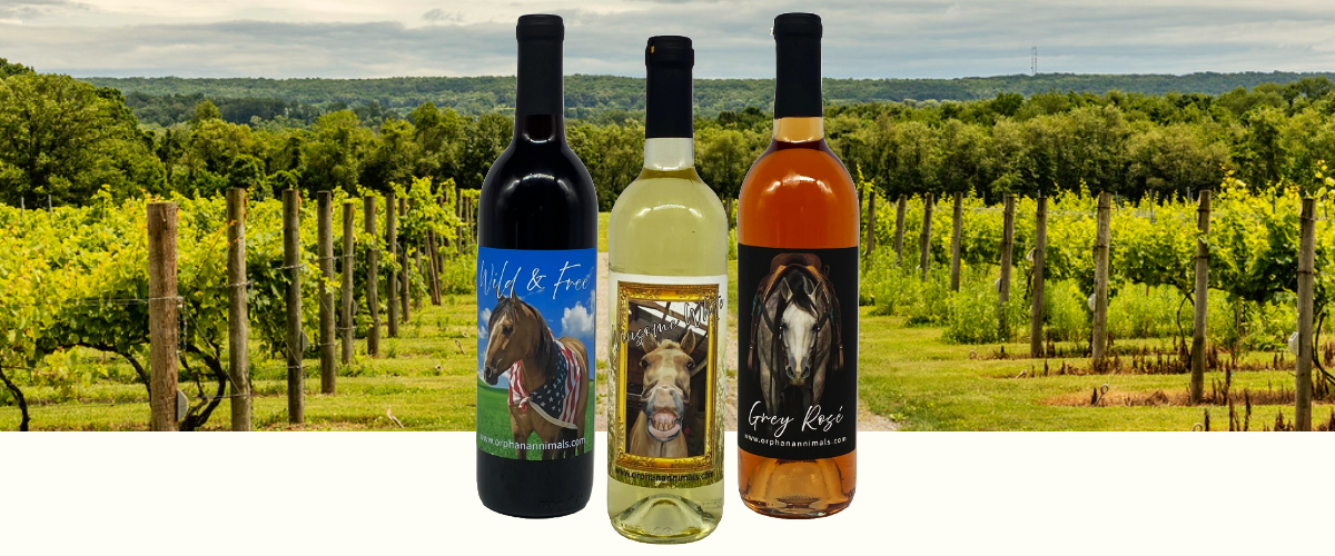 Orphan Anni-mals Wine Collection Fundraiser